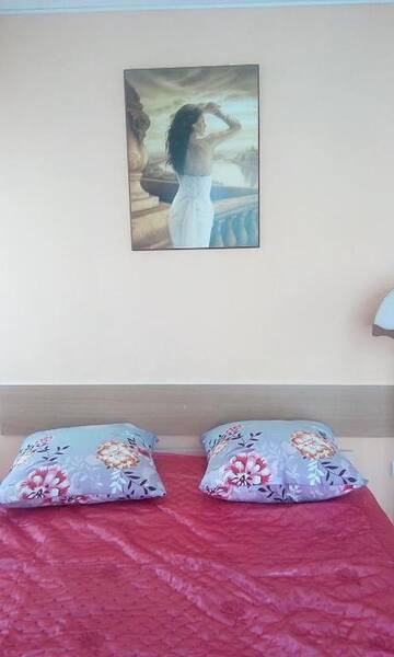 Фото номера Двухместный номер с двуспальной кроватью Гостиница Filin i Sova Mini Hotel г. Владивосток 13